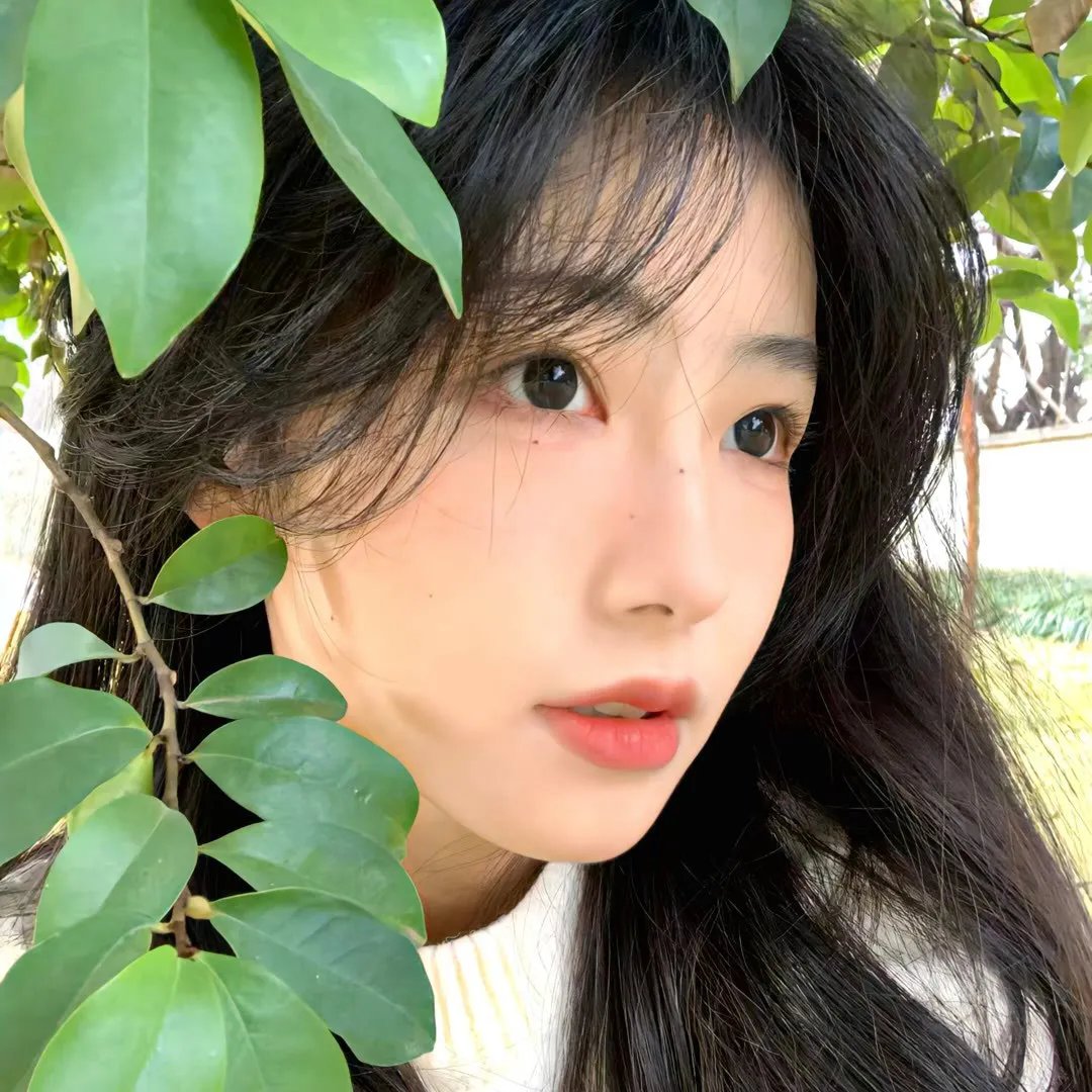 暴雨封面