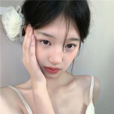 尘缘未了封面